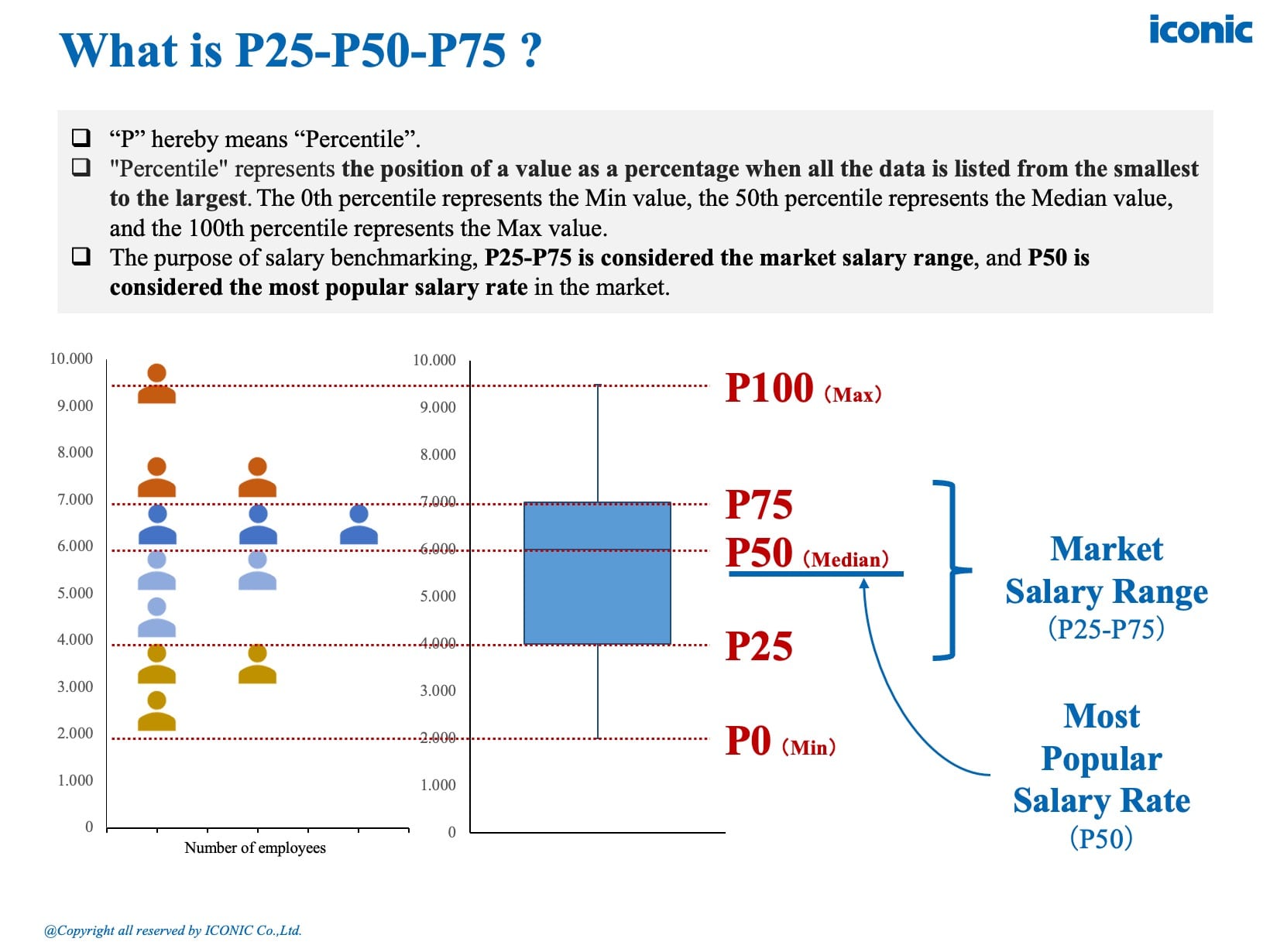 [2025] Salary Report – 5.2025